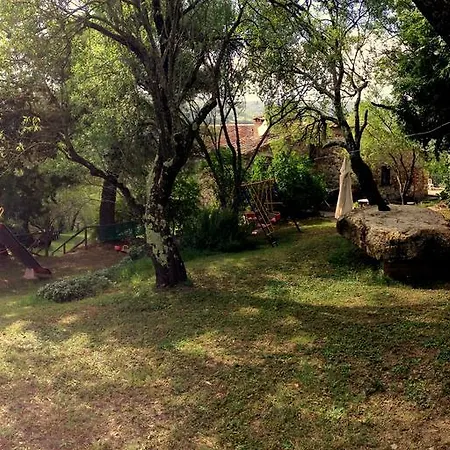 Le Cerinaie * Castelnuovo di Val di Cecina