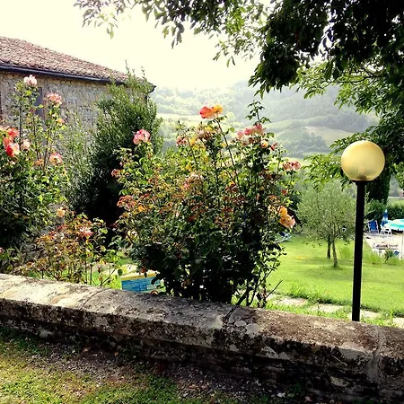 Le Cerinaie Apartment Castelnuovo di Val di Cecina