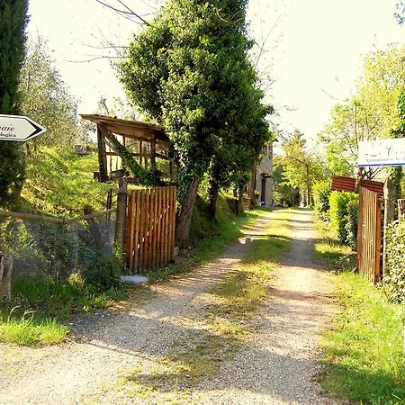 Le Cerinaie Apartment Castelnuovo di Val di Cecina