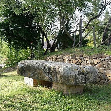 Le Cerinaie Castelnuovo di Val di Cecina