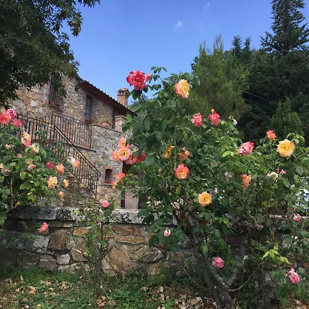 Le Cerinaie Apartment Castelnuovo di Val di Cecina